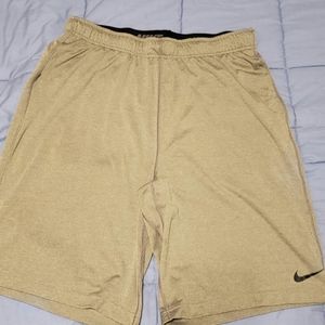 Men's Nike Dri-Fi Shorts